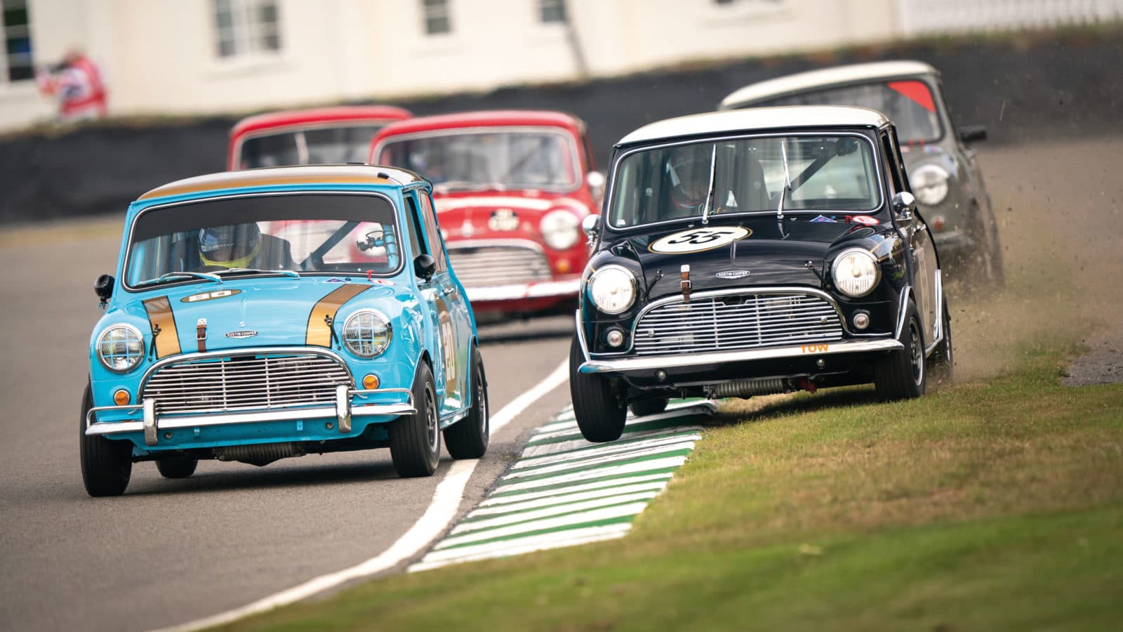 Mini racing at Goodwood